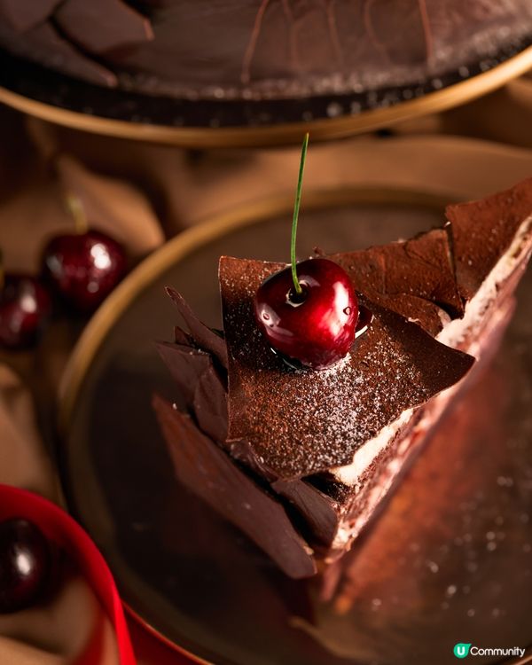 Lady M車厘子黑森林蛋限定登場！法國朱古力海綿蛋糕+酒浸車厘子忌廉軟心芝士
