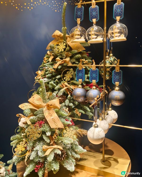 率先欣賞半島酒店🎄☃️xmas collection