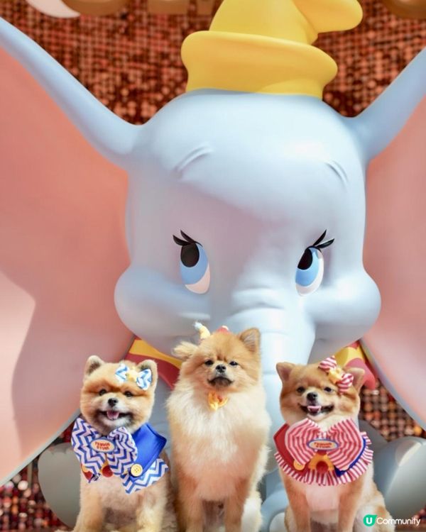 豬家25年聖誕打卡第一彈