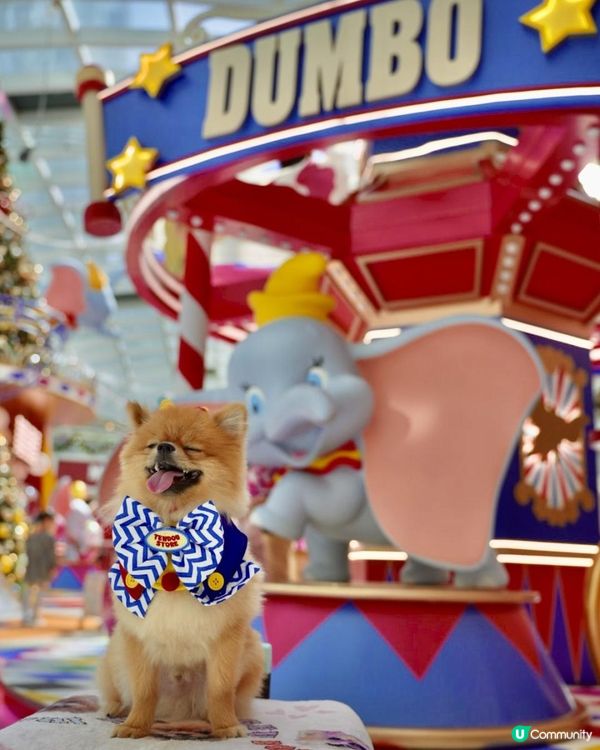 豬家25年聖誕打卡第一彈