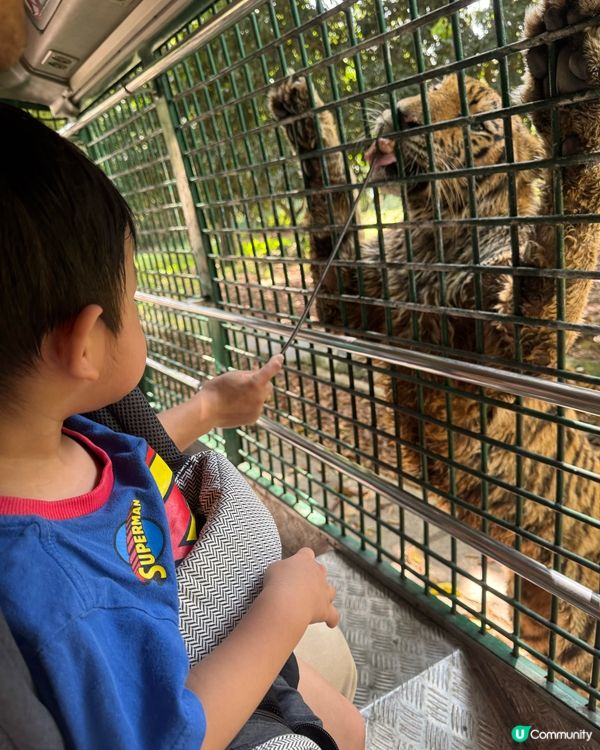 深圳動物園大發現！🦁🦒小朋友勁開心！🥳