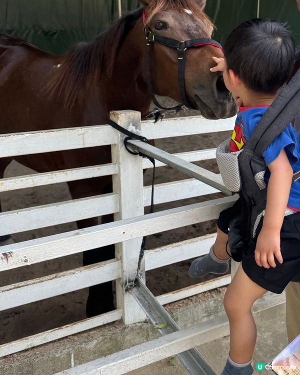 深圳動物園大發現！🦁🦒小朋友勁開心！🥳