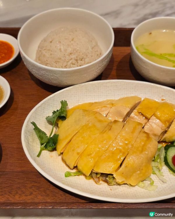 黑醬油炒蘿蔔糕😋海南雞飯正！🤤