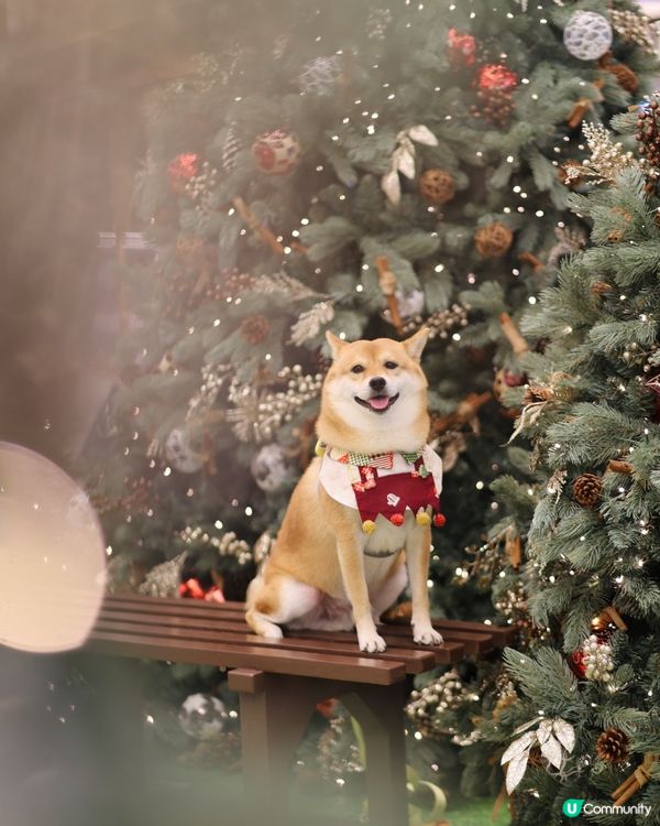 YOHO MALL II率先閃亮登場