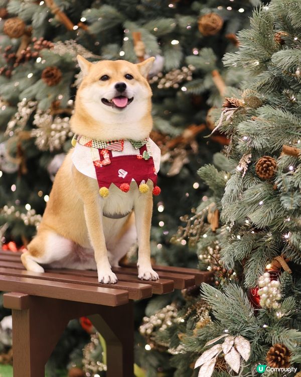 YOHO MALL II率先閃亮登場