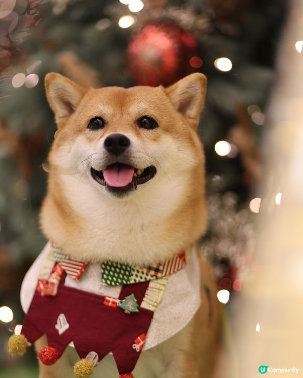 YOHO MALL II率先閃亮登場