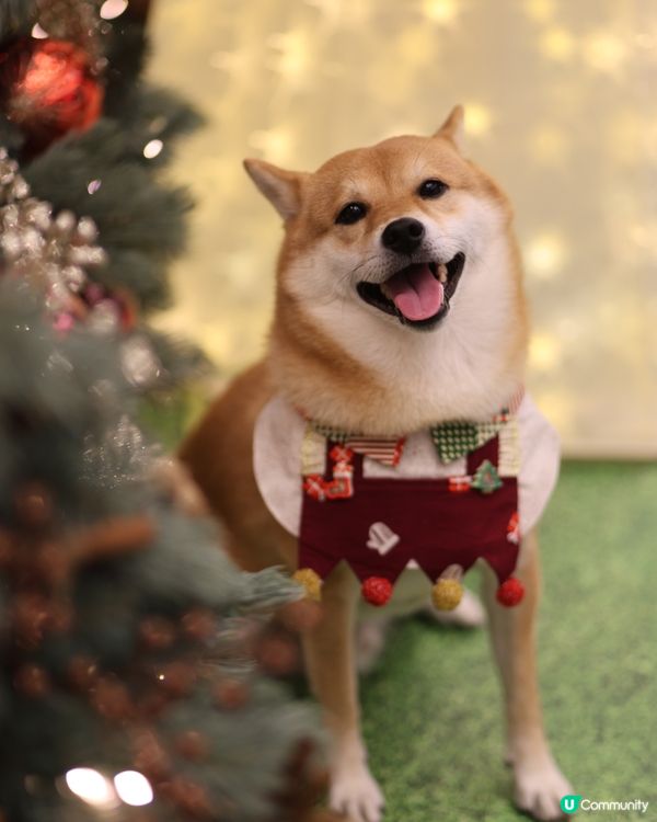 YOHO MALL II率先閃亮登場