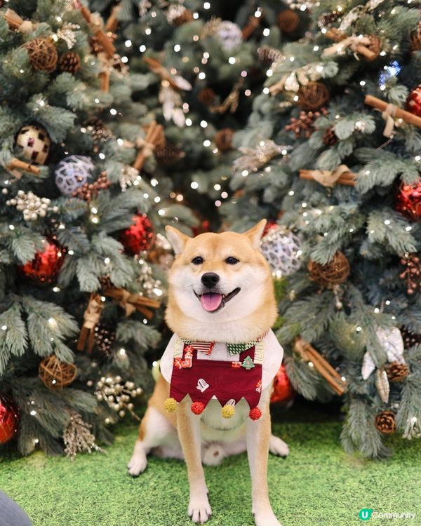 YOHO MALL II率先閃亮登場