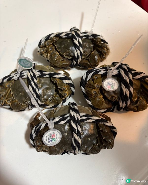 大閘蟹季又黎啦🦀 隻隻爆膏又鮮甜🤤