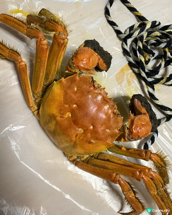 大閘蟹季又黎啦🦀 隻隻爆膏又鮮甜🤤