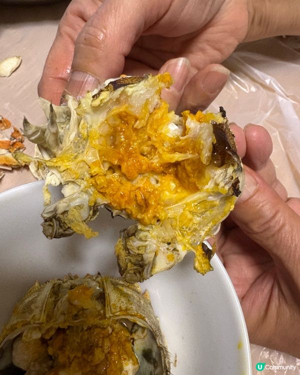 大閘蟹季又黎啦🦀 隻隻爆膏又鮮甜🤤