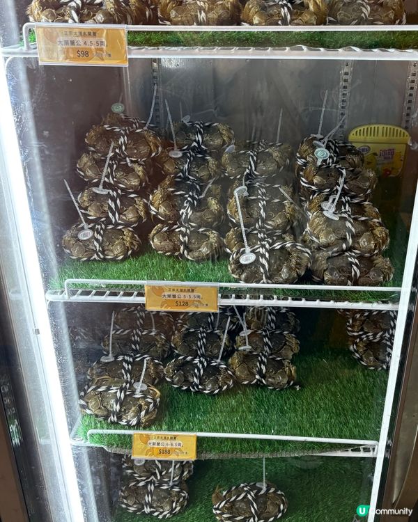 大閘蟹季又黎啦🦀 隻隻爆膏又鮮甜🤤