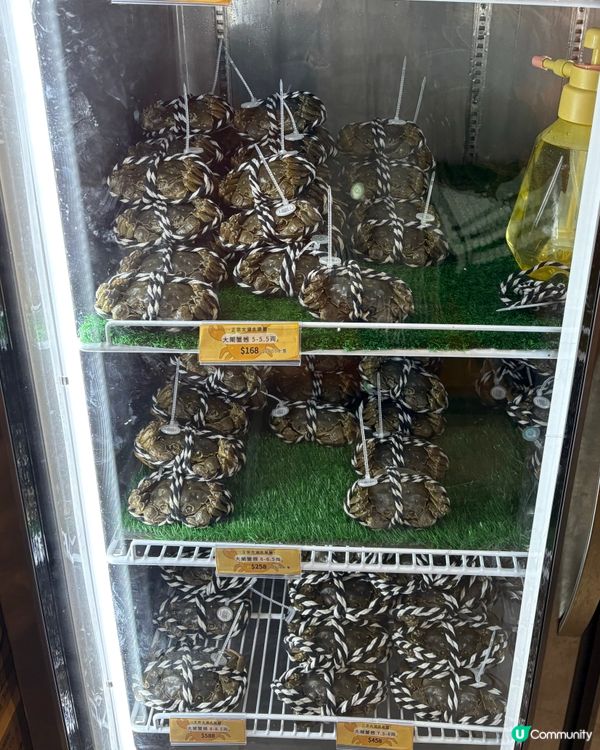 大閘蟹季又黎啦🦀 隻隻爆膏又鮮甜🤤