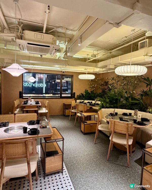 鳳凰椰子雞火鍋（旺角）