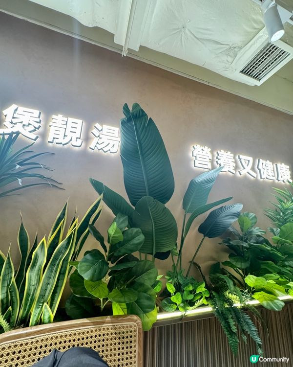 鳳凰椰子雞火鍋（旺角）