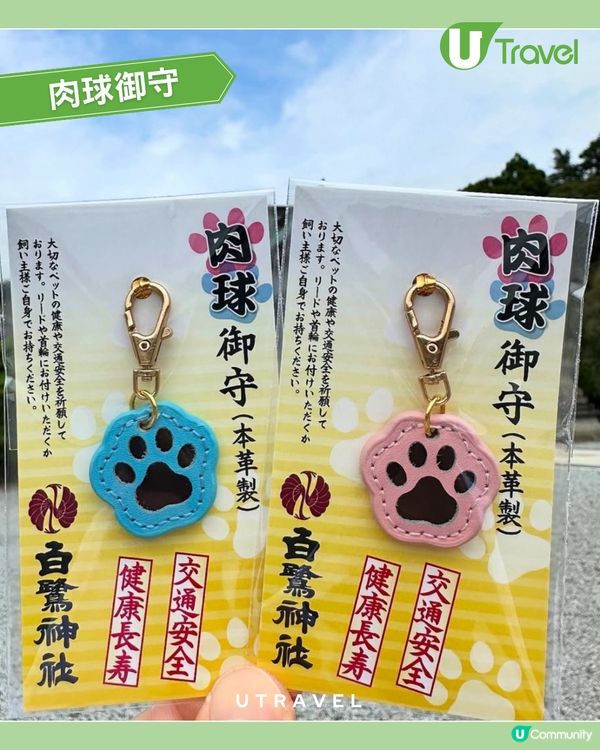 每月11日限定！日本白鷺神社「狗狗御朱印」