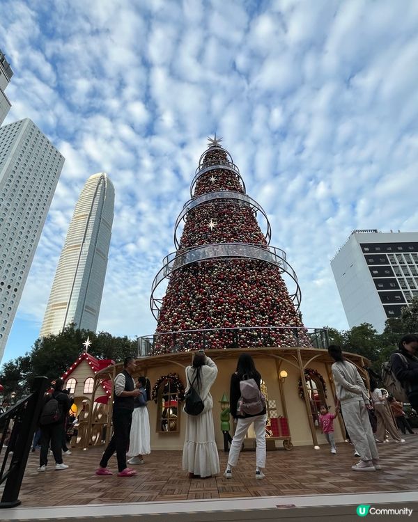 皇后像廣場聖誕樹🎄