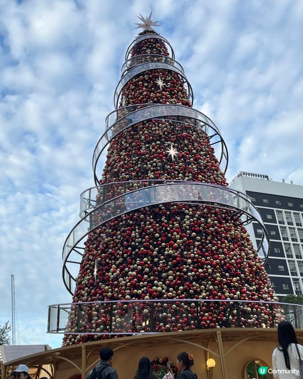 皇后像廣場聖誕樹🎄