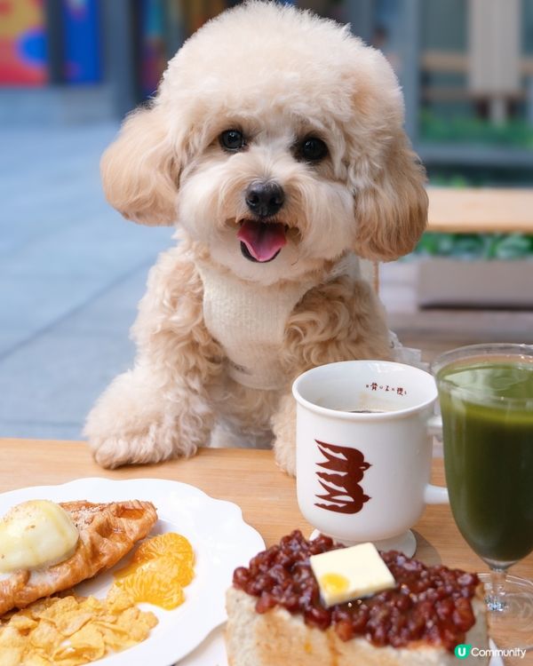 放鬆慢活的寵物有善Cafe