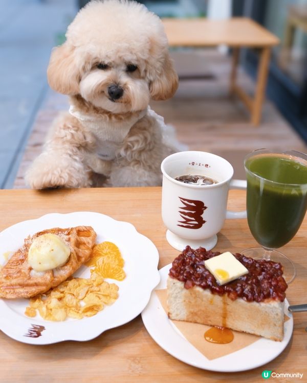 放鬆慢活的寵物有善Cafe