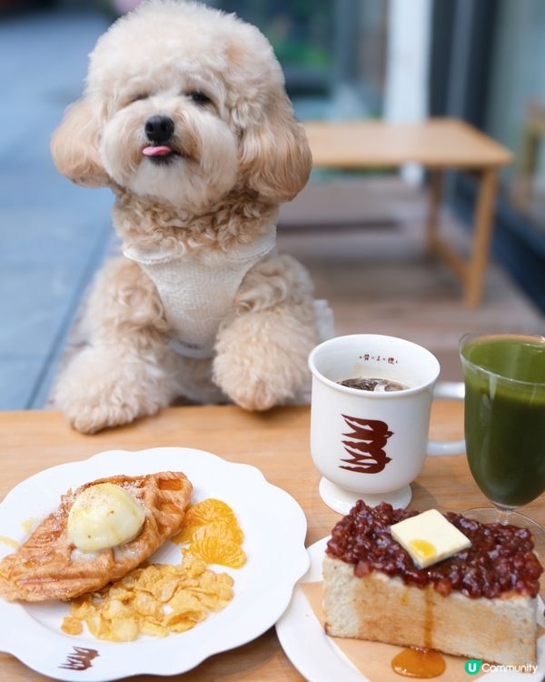 放鬆慢活的寵物有善Cafe