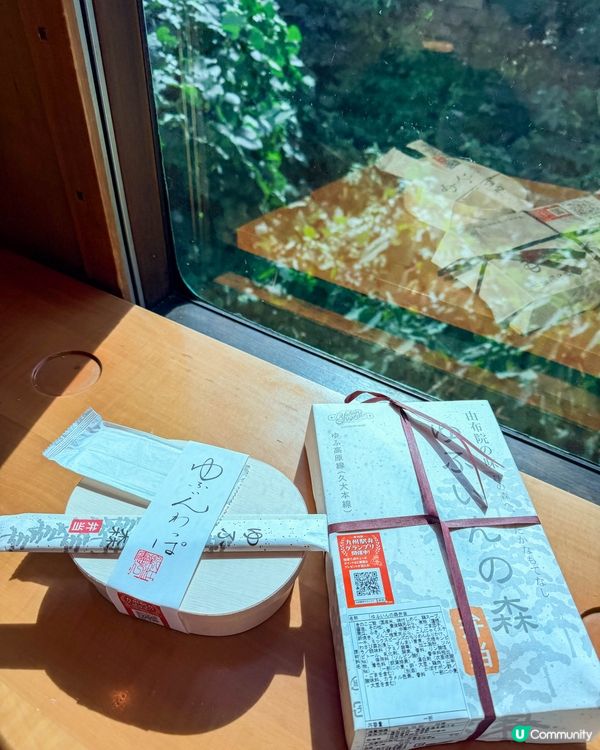 由布院｜森林系觀光列車 🚞🌲