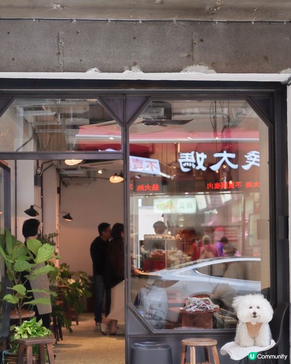 西營盤新寵！半路咖啡又開分店☕🐾