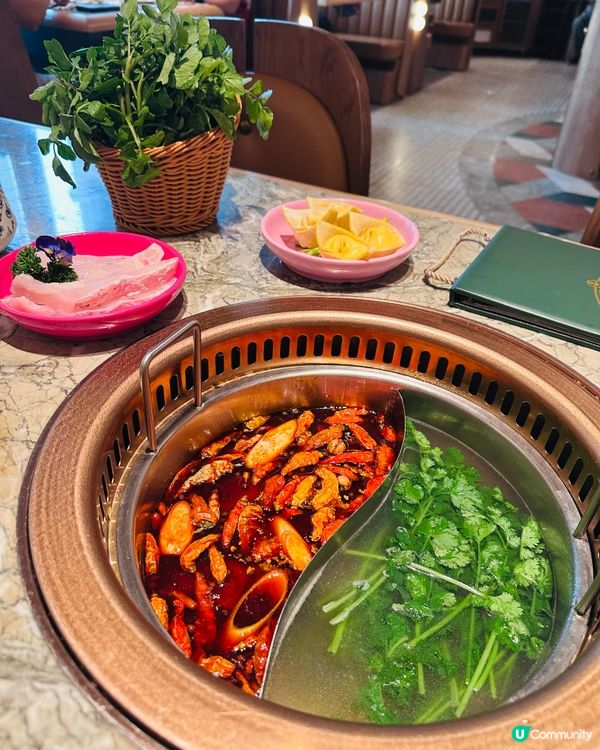 Lunch 打邊爐加點心-香江花月