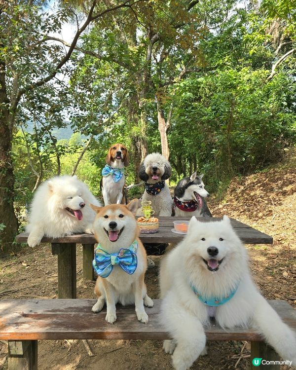 預祝happy birthday to 比比