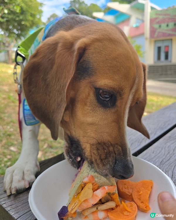 預祝happy birthday to 比比