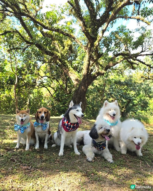 預祝happy birthday to 比比