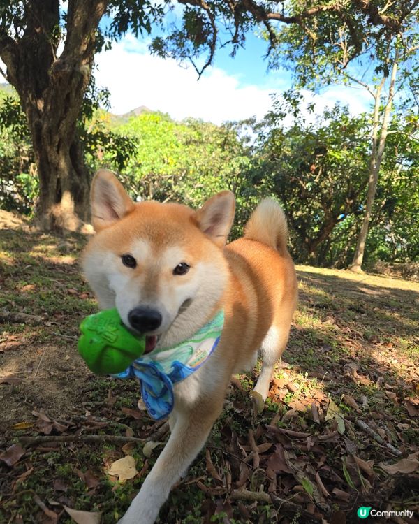 預祝happy birthday to 比比