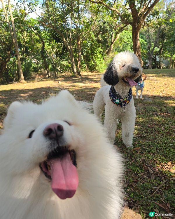 預祝happy birthday to 比比