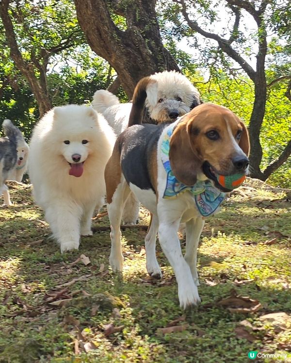 預祝happy birthday to 比比