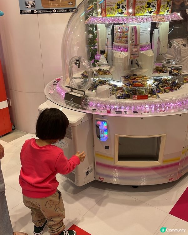 一田開鑼啦！楓葉樹打卡先🍁！