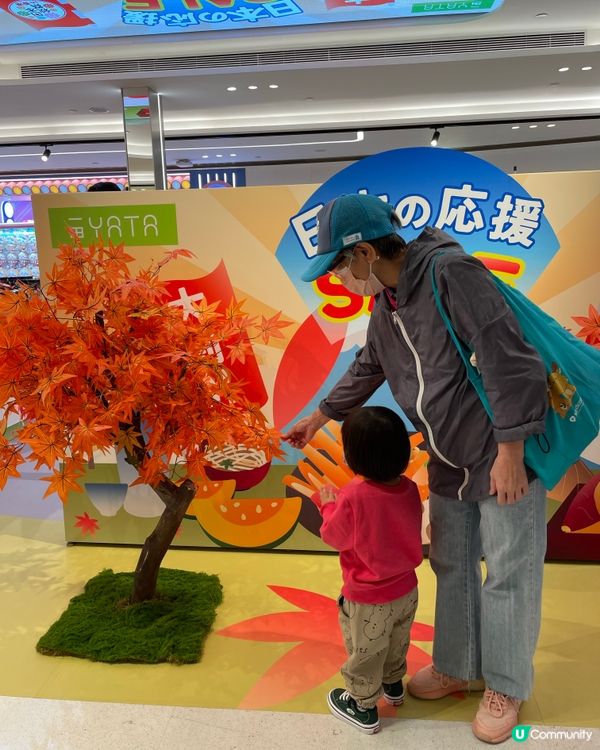 一田開鑼啦！楓葉樹打卡先🍁！