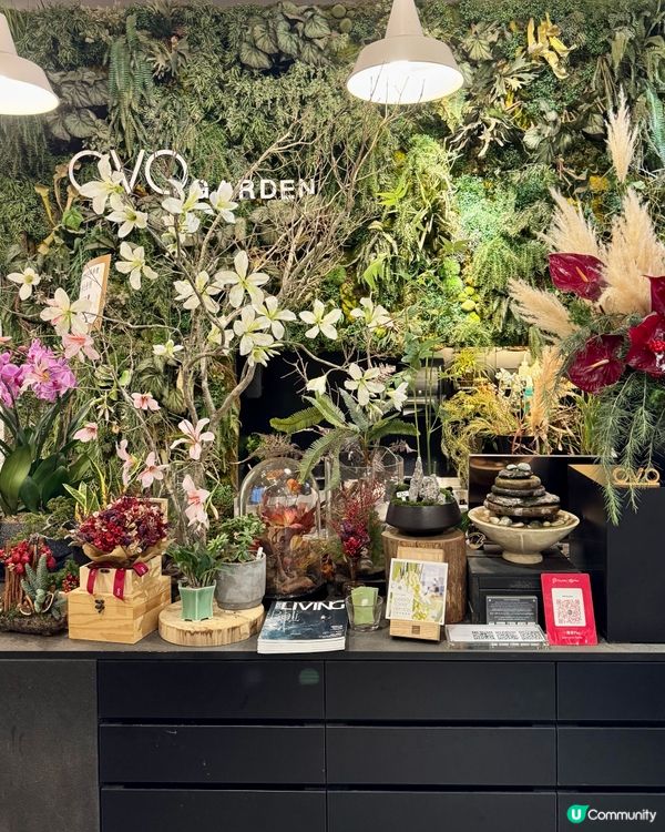 灣仔隱藏森林系Cafe🌿 素食漢堡同流心蛋意粉好犯規！