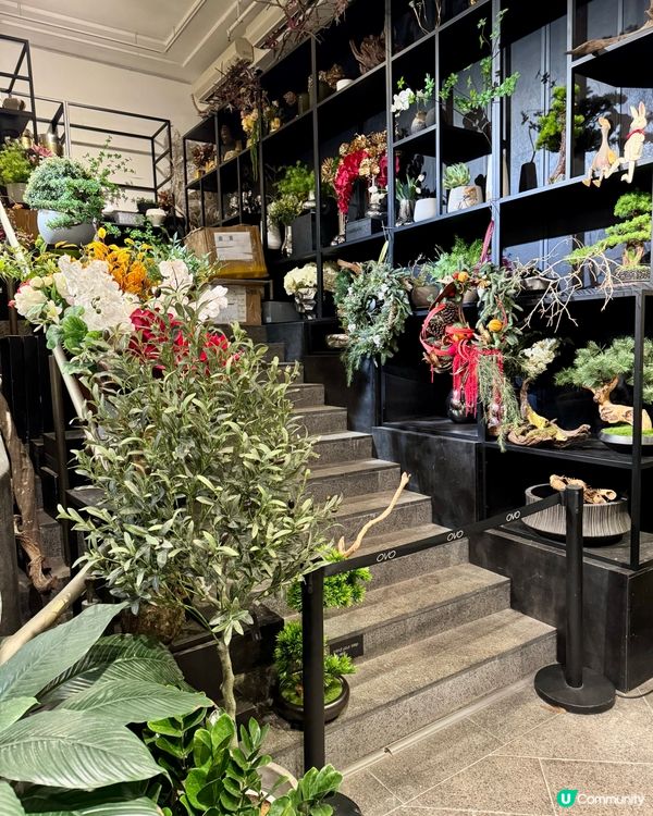 灣仔隱藏森林系Cafe🌿 素食漢堡同流心蛋意粉好犯規！