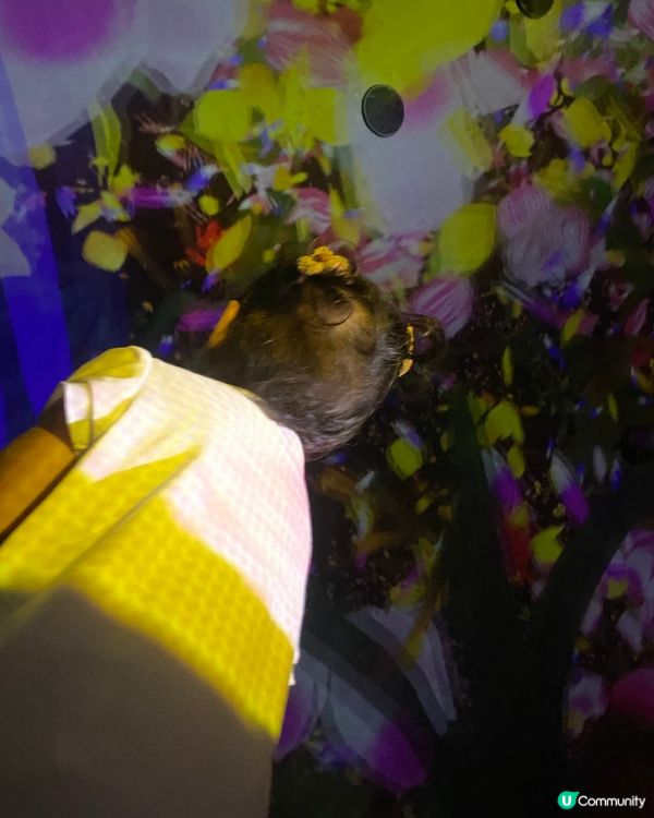 親子好去處❤️豐州TeamLab