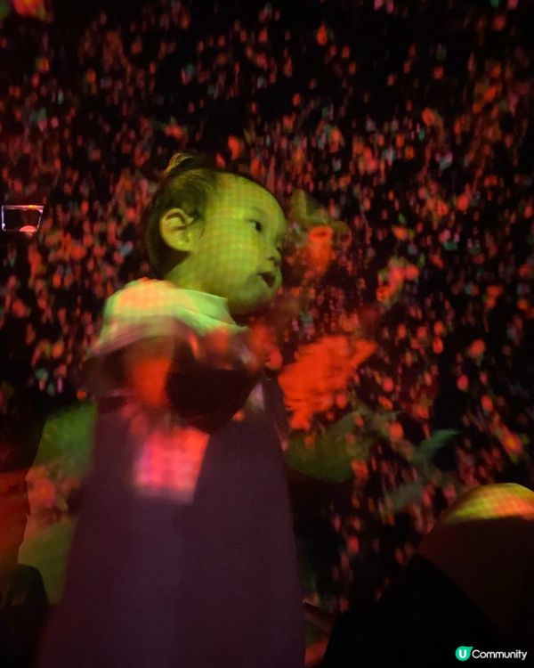 親子好去處❤️豐州TeamLab