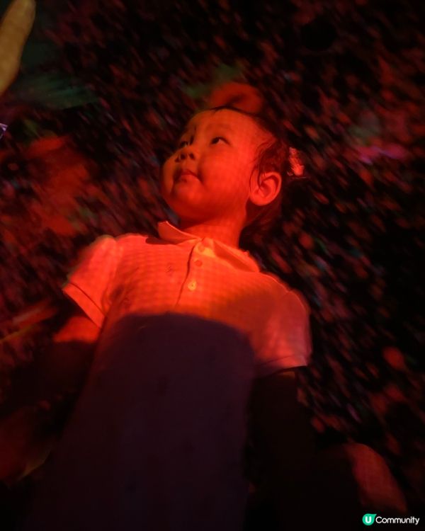 親子好去處❤️豐州TeamLab