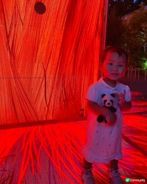 親子好去處❤️豐州TeamLab