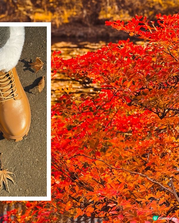 北海道札幌紅葉之旅🍁🍂！ 