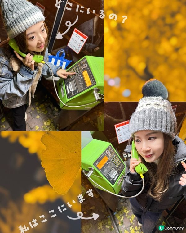 北海道楓葉尾班車🍁！閨蜜打卡📸！