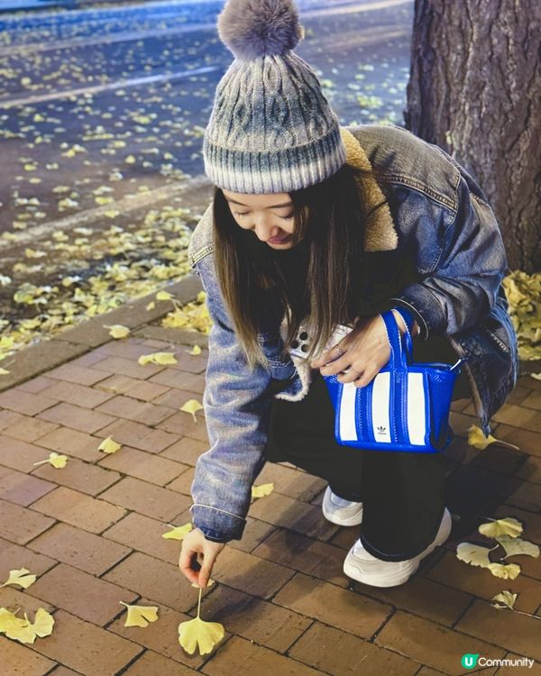 北海道楓葉尾班車🍁！閨蜜打卡📸！