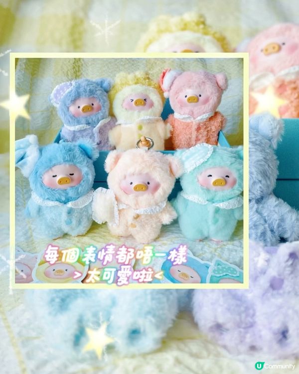 聖誕禮物🎁推介！罐頭豬盲盒🐷超可愛！