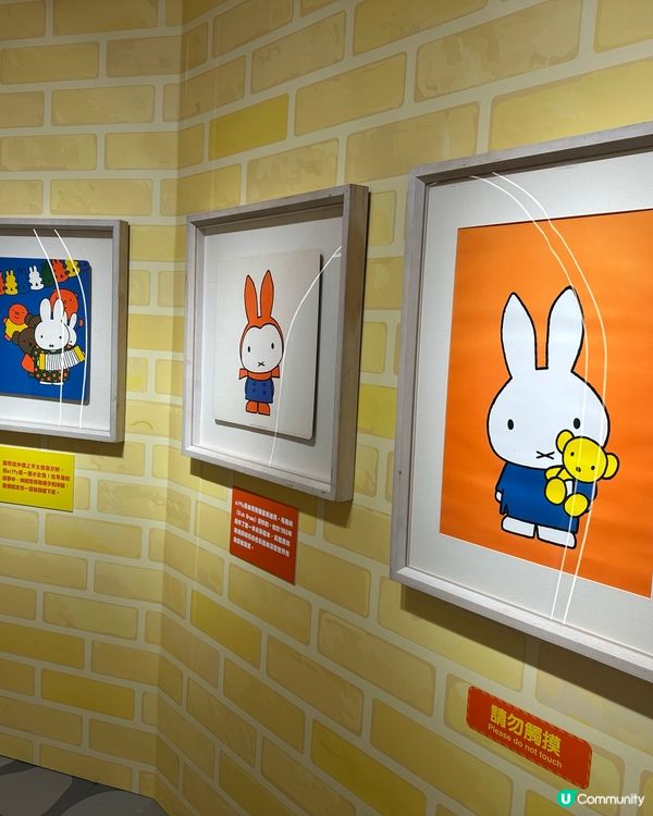 🚤🎄親子聖誕必玩！全港獨有✨必坐Miffy星願小船，親子放電