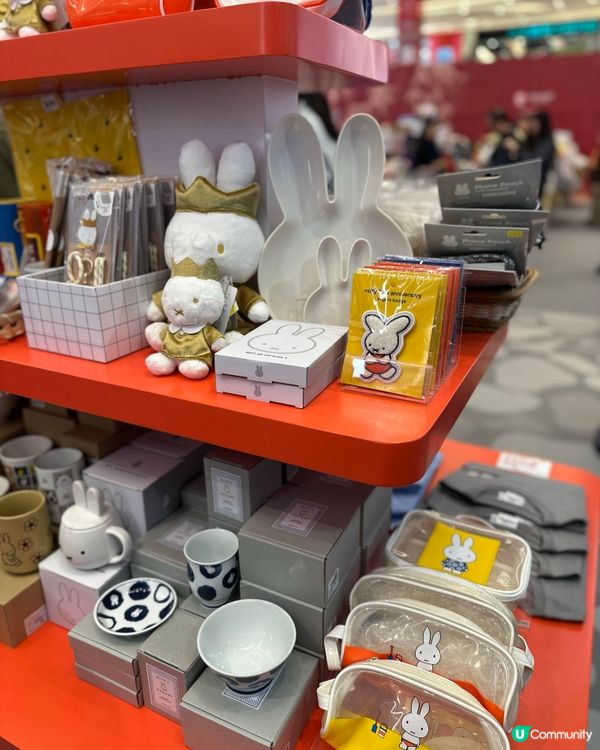 🚤🎄親子聖誕必玩！全港獨有✨必坐Miffy星願小船，親子放電