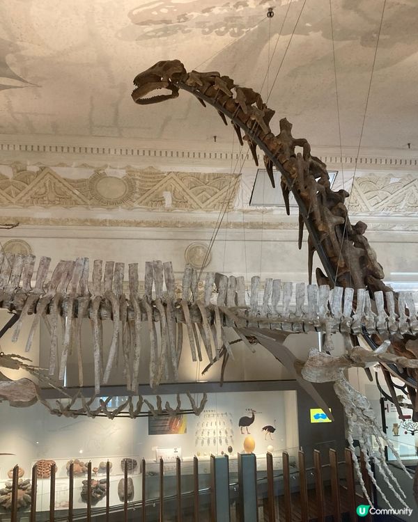 台灣遊學玩樂之旅