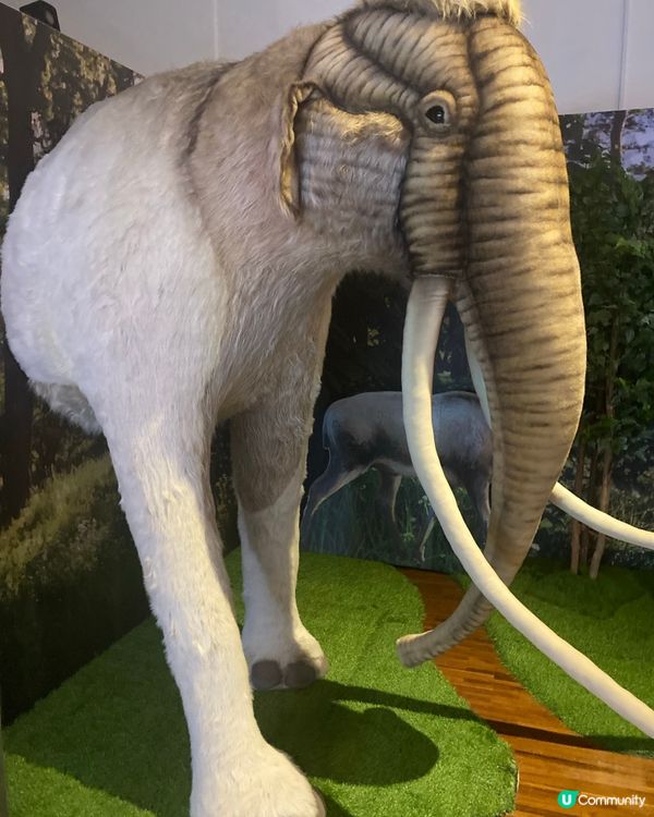 台灣遊學玩樂之旅